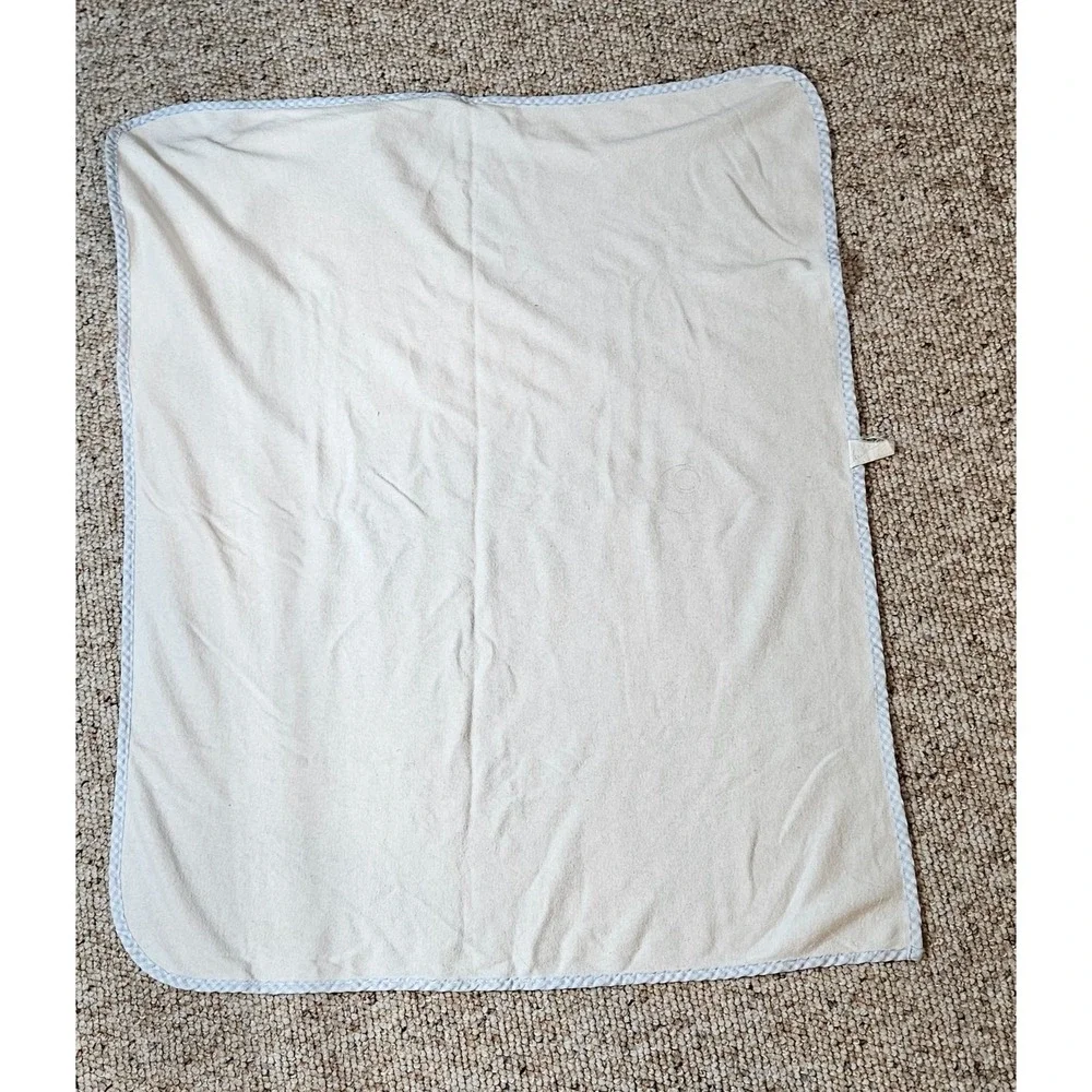 Disney Winnie the Pooh Tigger Hooded Baby Towel White Blue Gingham Trim Vintage